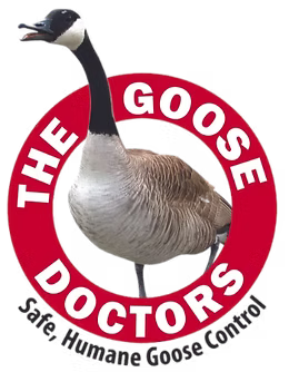 The Goose Doctors LLC