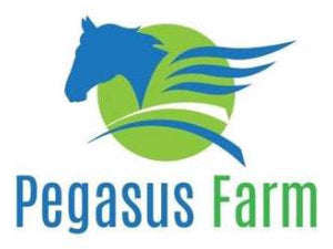 Pegasus Farm